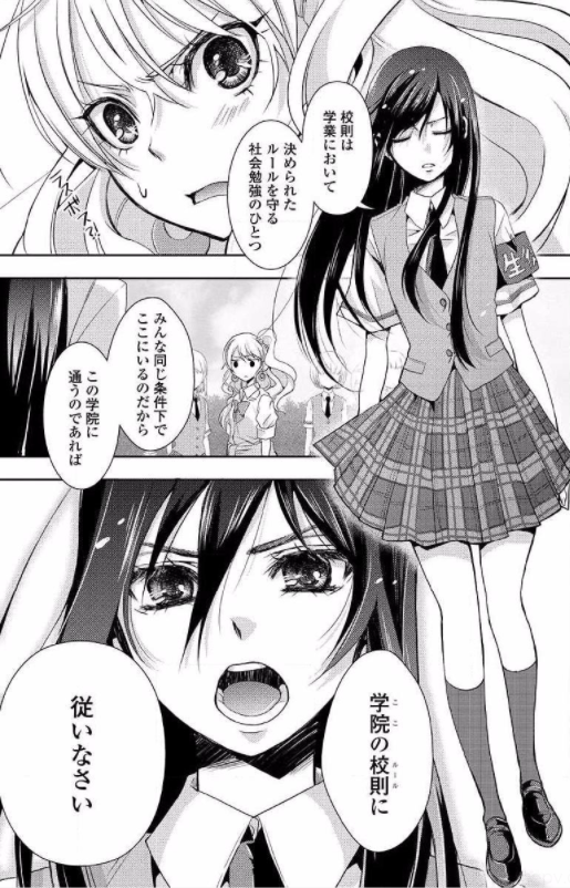 百合漫画　citrus　サブロウタ 藍原柚子＆藍原芽衣　9巻ゲーマーズ有償特典 百合漫画 citrus サブロウタ 藍原柚子＆藍原芽衣 9巻ゲーマーズ