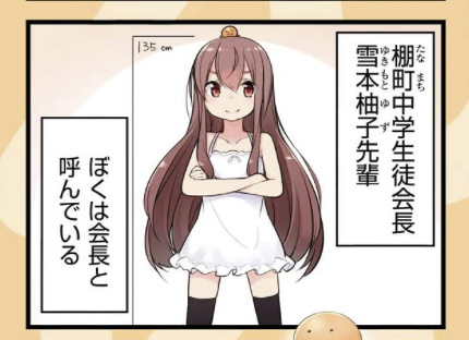 キャラ3:子供っぽいのが悩みの生徒会長:【雪本柚子】