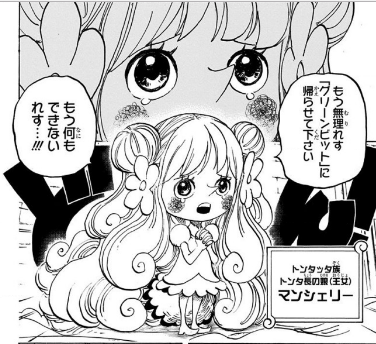 60、チユチユの実 マンシェリー