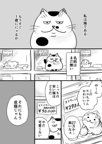 漫画『おじさまと猫』の魅力4:ペットと人間の関係性にじーんとする