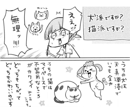 犬 と 猫 どっち も 飼っ てる と