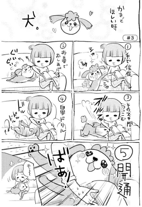 作品の魅力:性格の違いが面白い!犬と猫を一緒に飼いたくなる!