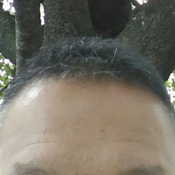 Yonayonakamo